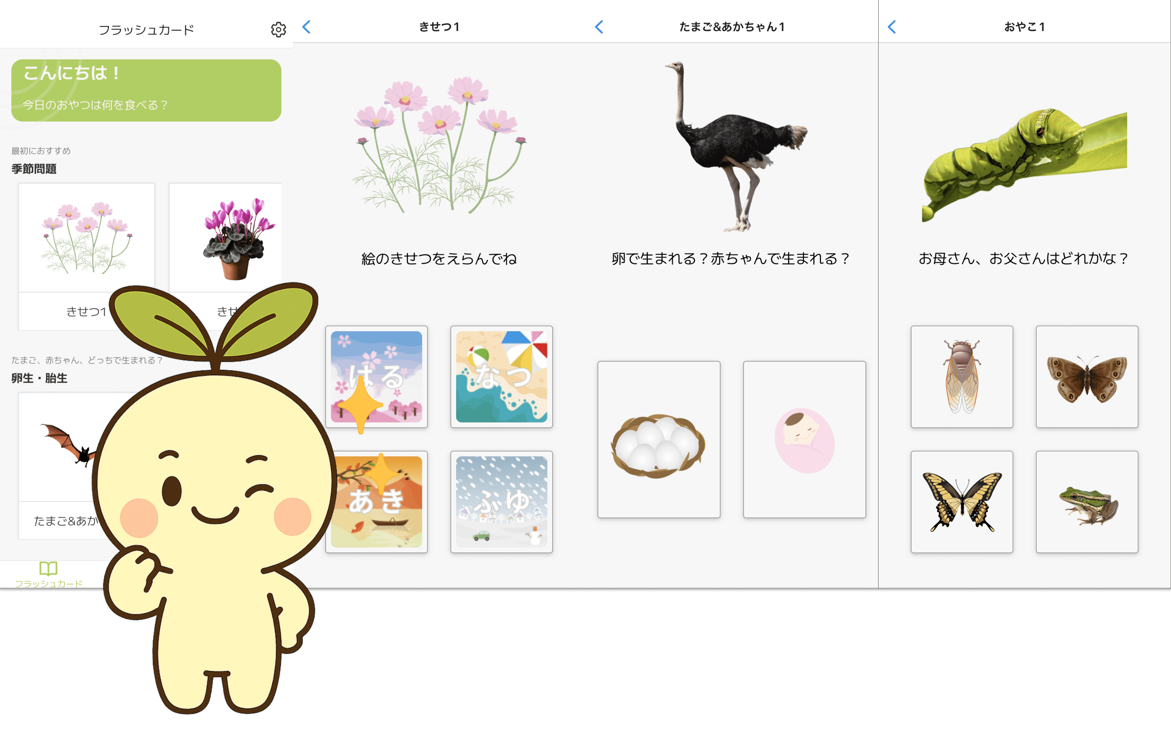 楽しく教養が身につくフラッシュカード！