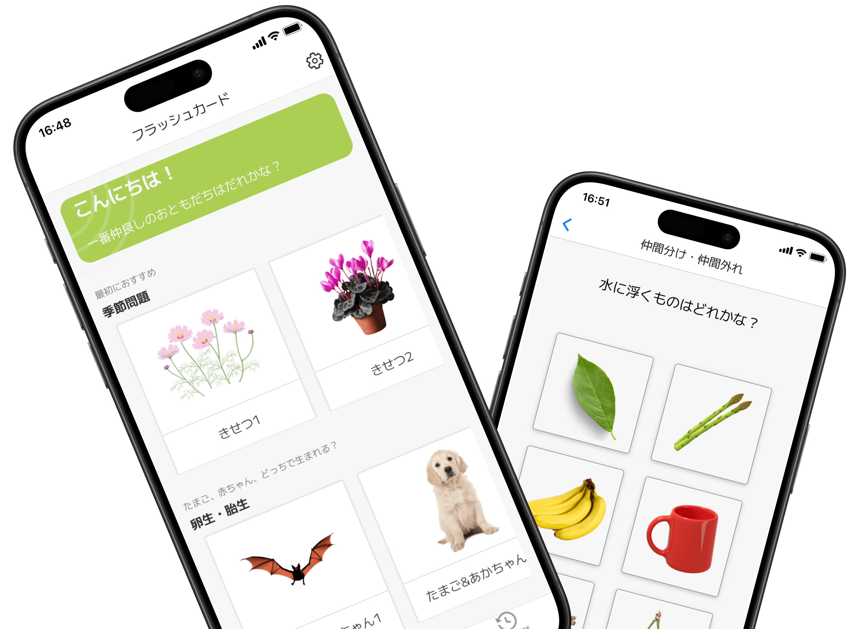 BrainySprouts image