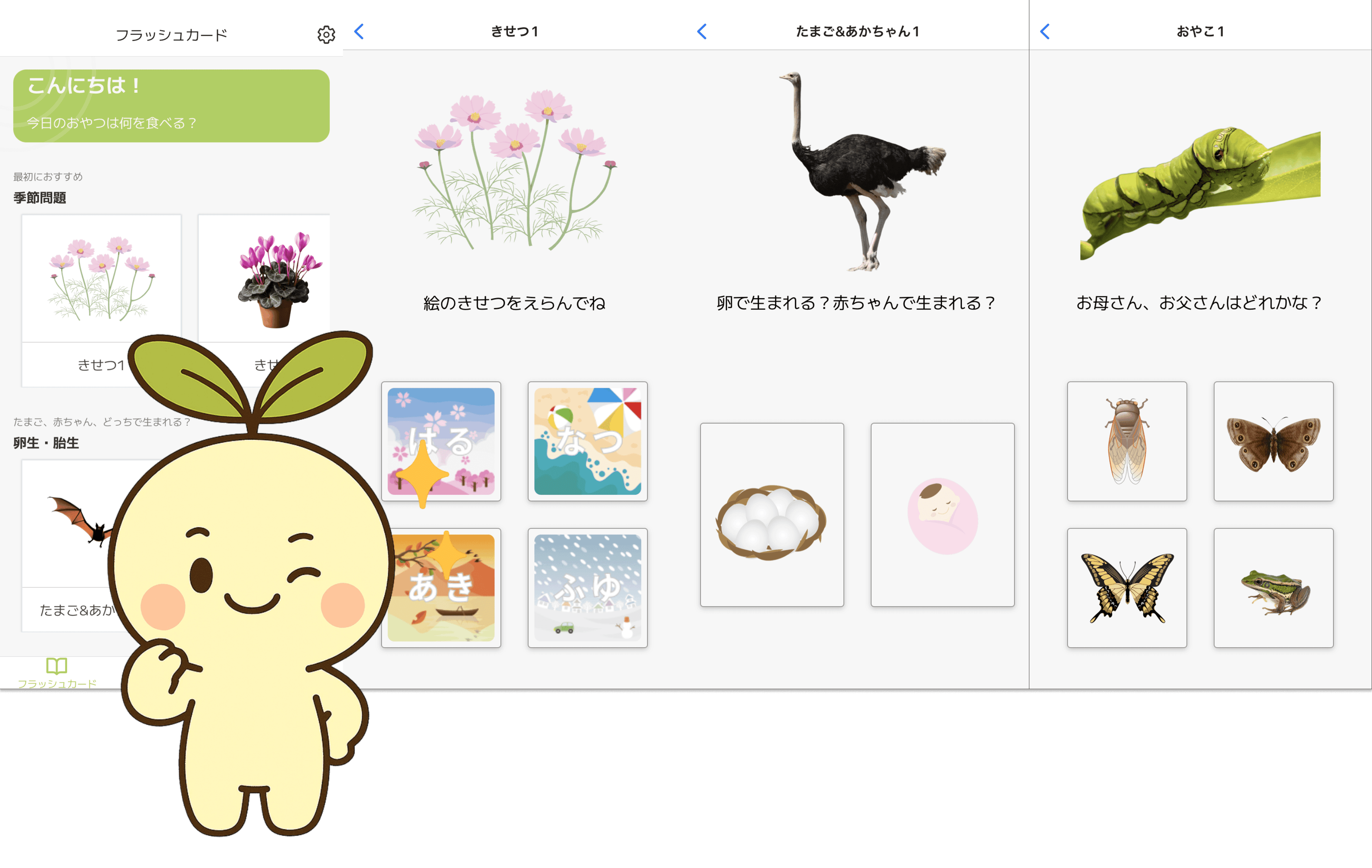 楽しく教養が身につくフラッシュカード!
