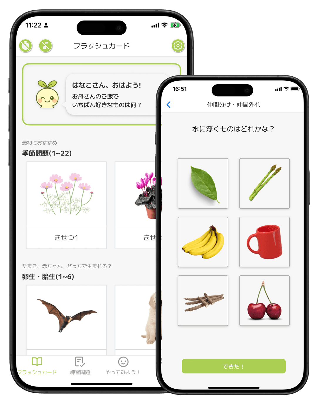 BrainySprouts app screenshot