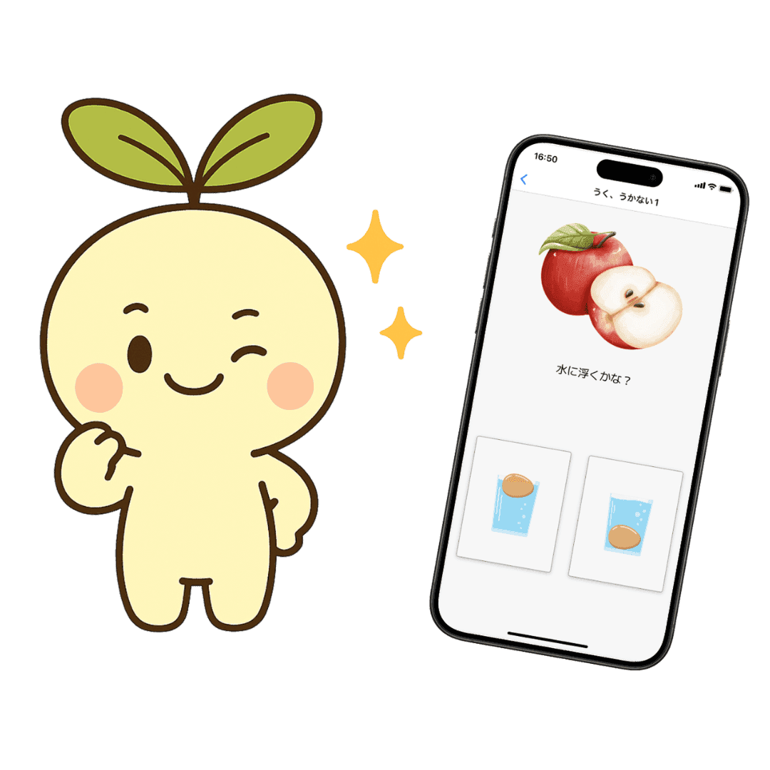 フラッシュカードと練習問題